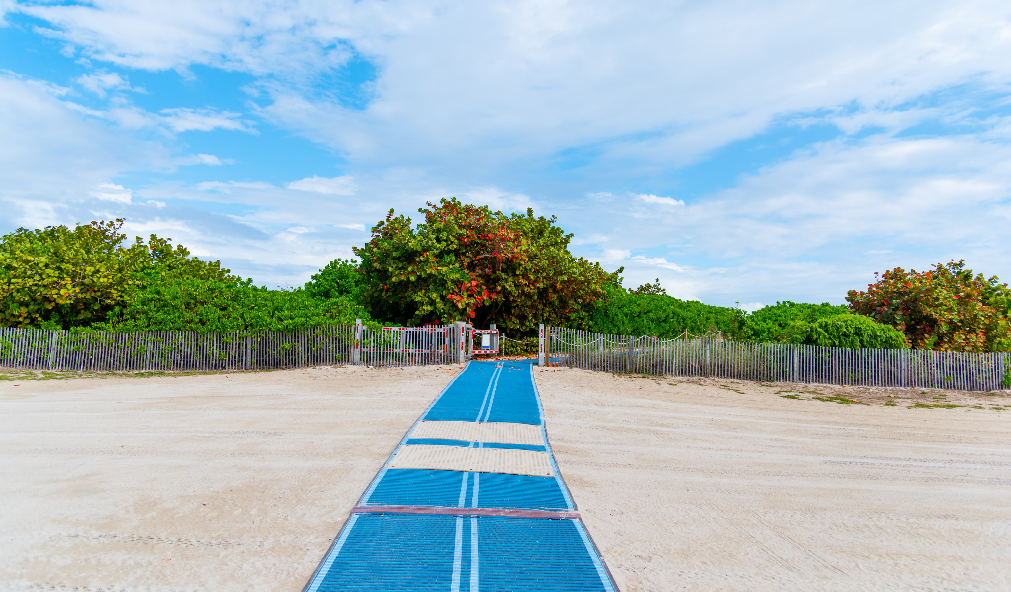 Wheelchair accessible beach in the USA with beach mats.