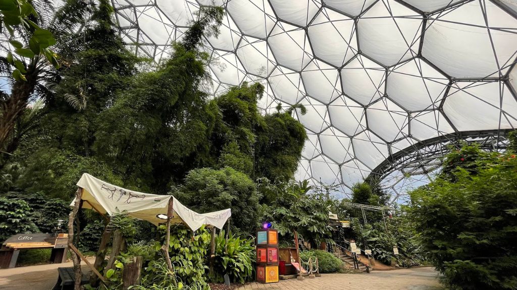 The interior of one of the Eden Project bio-domes, showing the inside of the honeycomb-style outer shell of the dome, and also showing the flat, wheelchair accessible pathway that takes you through the lush green trees and foliage.