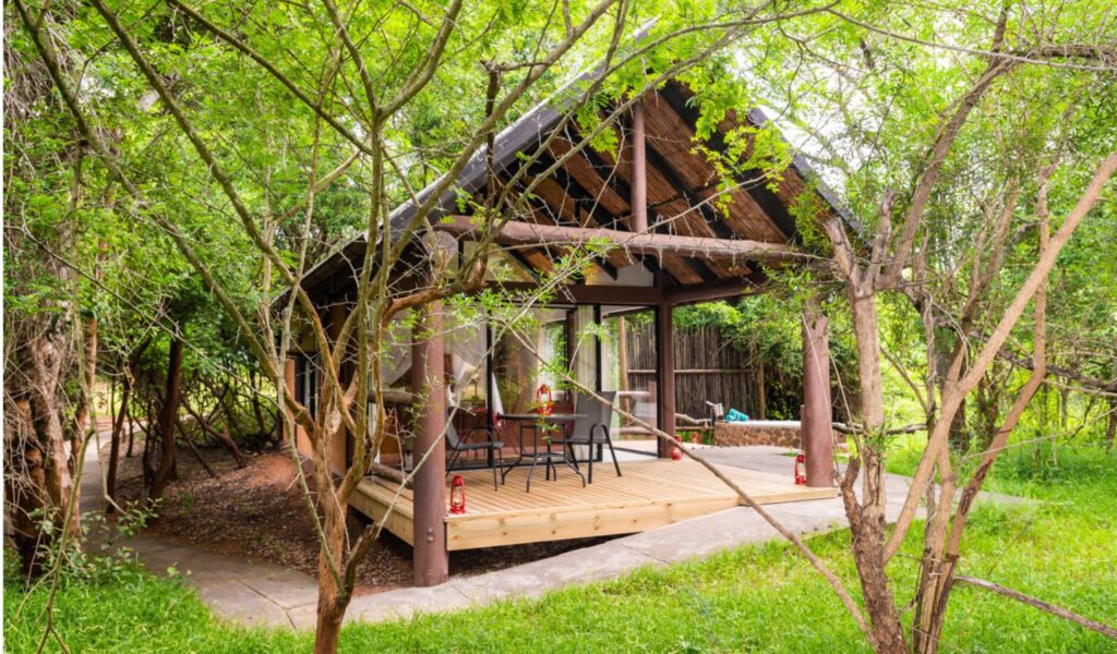 A cozy, glass-fronted cabin with a thatched roof and wooden deck sits nestled among lush green trees in a forest setting. The deck features a small table with chairs and lanterns, creating a tranquil, nature-immersed retreat.