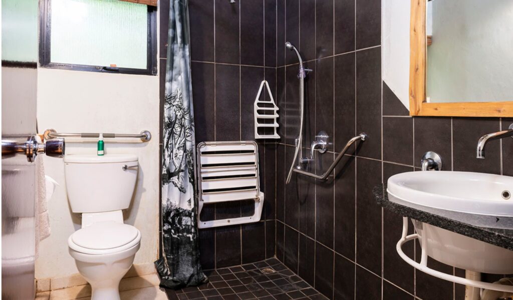 An accessible bathroom at Leopard Walk Lodge featuring a roll-in shower with grab bars, a fold-down shower seat, handheld showerhead, and dark tiled walls. The space includes a toilet with a support rail and a sink with open clearance for wheelchair access.