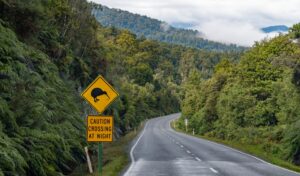 A winding paved road curves through dense green forest and hills under a cloudy sky. On the roadside, a yellow warning sign shows a kiwi bird silhouette above another sign reading “CAUTION CROSSING AT NIGHT,” suggesting wildlife may cross after dark. Mist hangs over the distant mountains in the background.