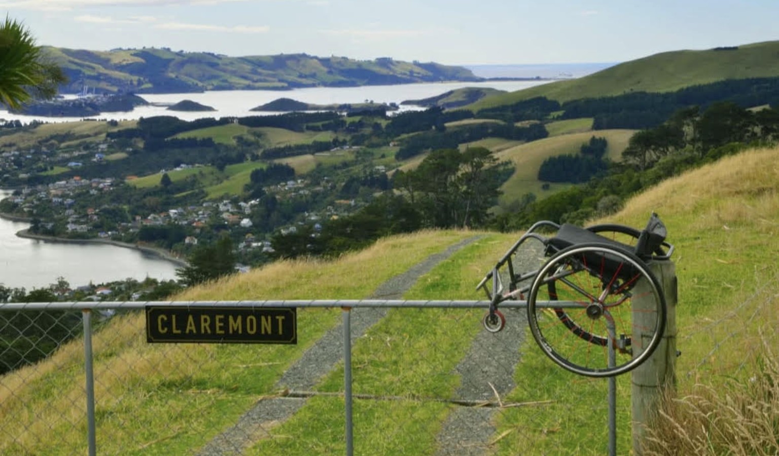 A wheelchair is perched on top of a metal fence beside a grassy hillside path, overlooking a sweeping view of Dunedin with its harbor, clustered houses, and rolling green hills in the distance. A small black-and-gold sign on the fence reads “CLAREMONT,” and the water glints under a pale blue sky.
