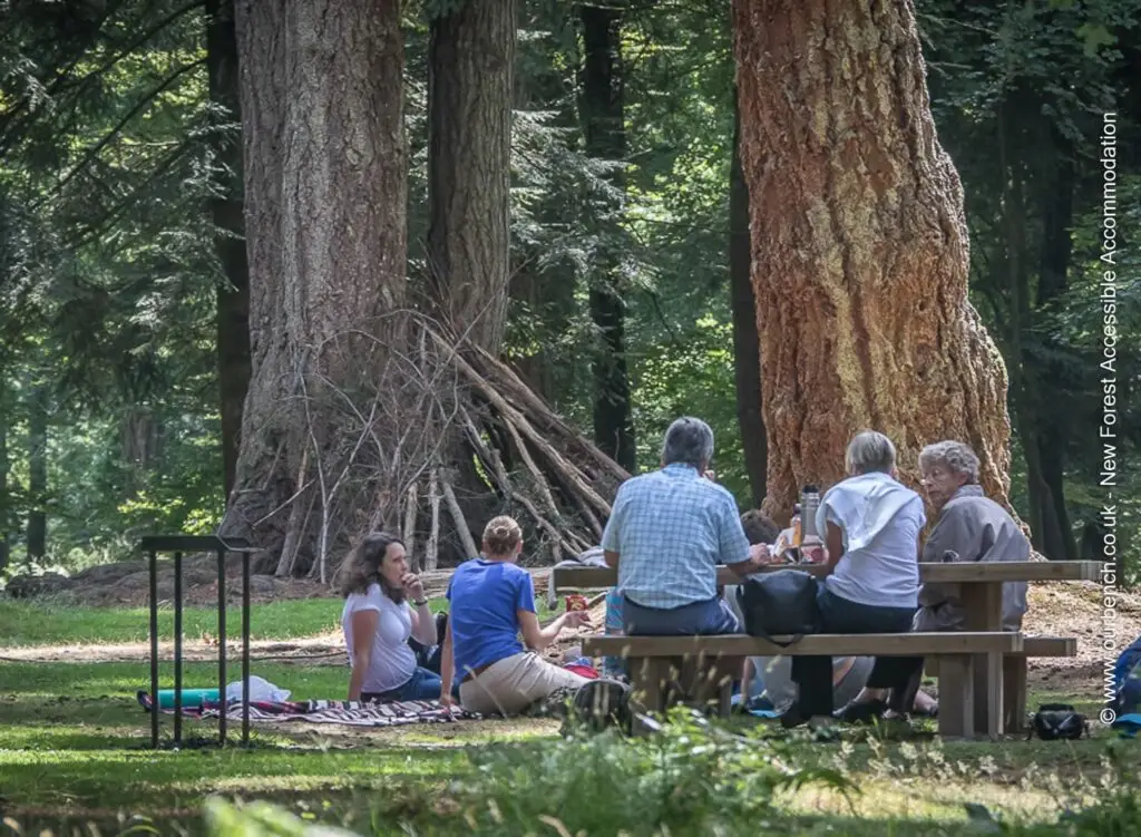 A family group having a picnic at a sturdy wooden table in a forest clearing. The area features flat, grassy terrain and large ancient trees, showing accessible outdoor recreation.