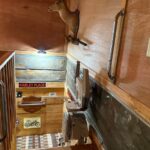 A top-down view of the staircase landing, showing the chair lift rail and several safety grab bars mounted to the wooden walls near a taxidermy deer head.