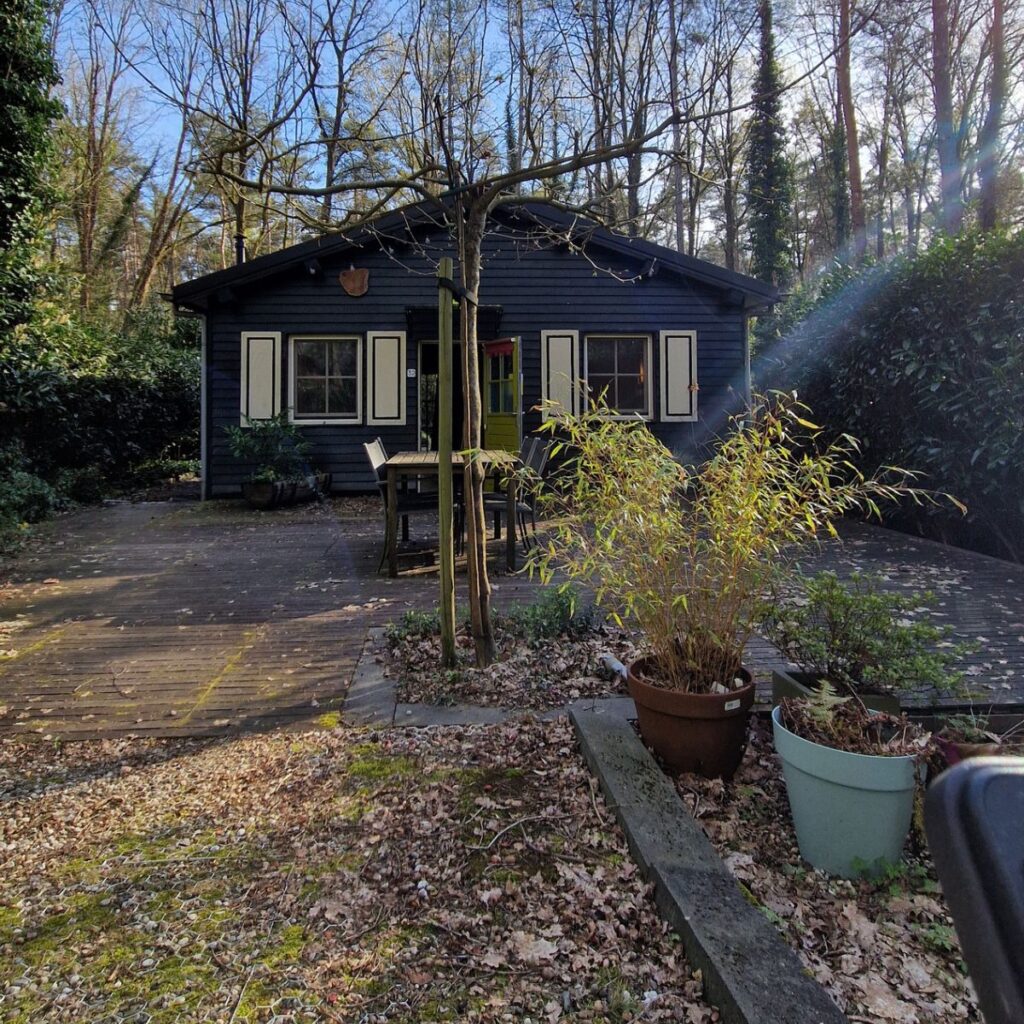 A wide-angle view of the large, flat wooden deck surrounding the cottage. The terrain leading to the deck is level, and the spacious layout allows for easy maneuvering of mobility aids around the outdoor furniture and potted plants.