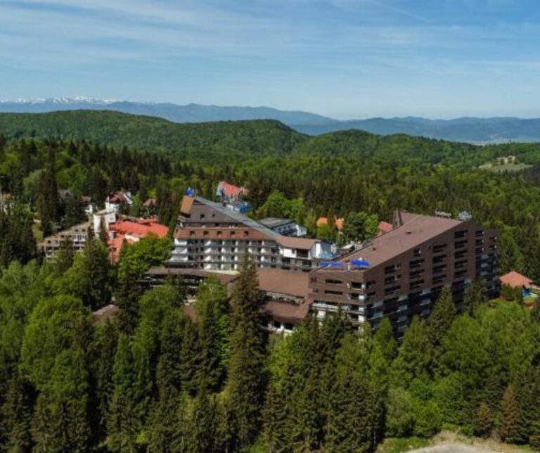 Aerial view of the Alpin Hotel near Brașov, Romania, surrounded by pine forest with the Carpathian Mountains visible in the distance