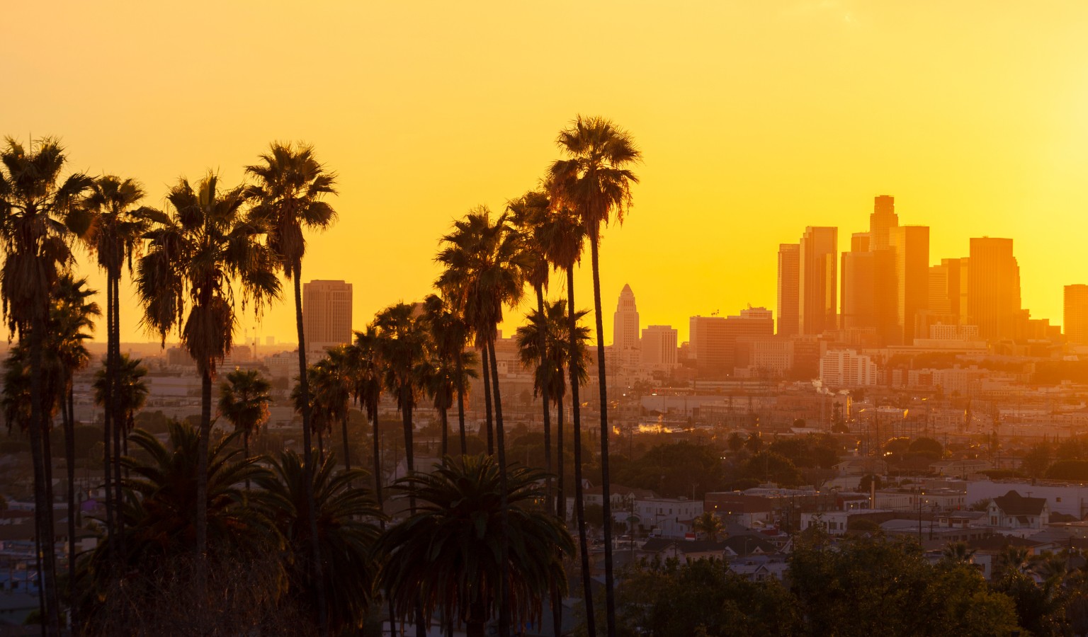 Los Angeles skyline at sunset with tall palm trees silhouetted in the foreground – accessible travel guide to LA