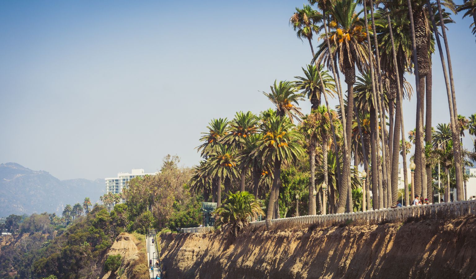 Paved accessible pathway along the Santa Monica cliffs lined with palm trees, with mountains visible in the background – Accessible Los Angeles guide