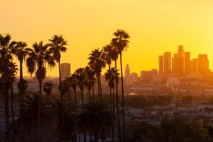 Los Angeles skyline at sunset with tall palm trees silhouetted in the foreground – accessible travel guide to LA