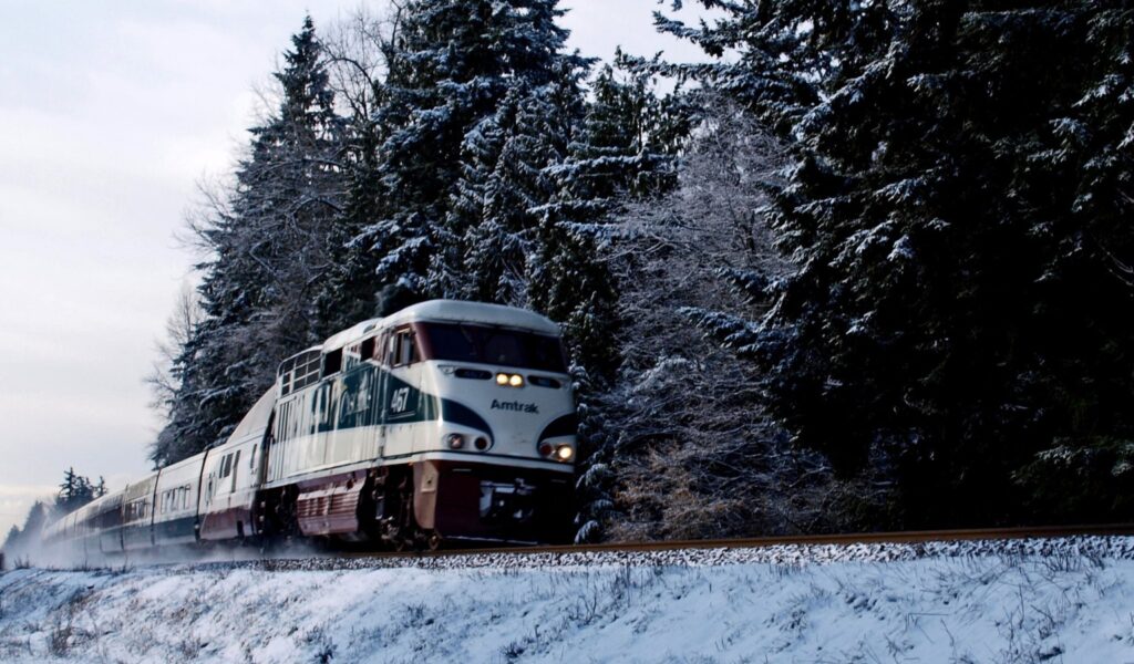 An AMTRAK train passes through a winter scene, with snow on the foreground and trees lining the tracks behind it.