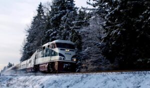 An AMTRAK train passes through a winter scene, with snow on the foreground and trees lining the tracks behind it.