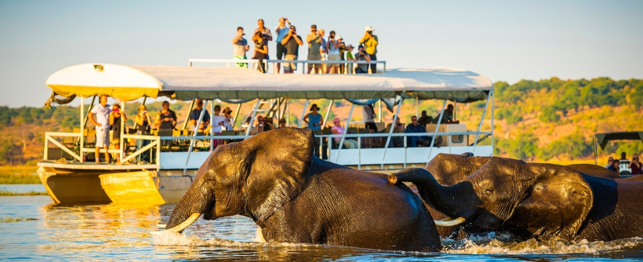 elephants splashing about in the water as onlookers watch from their boat tour.