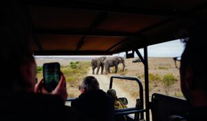 View from inside an open safari vehicle as passengers photograph two elephants standing on a dirt track in dry grassland, with another safari vehicle in the distance.