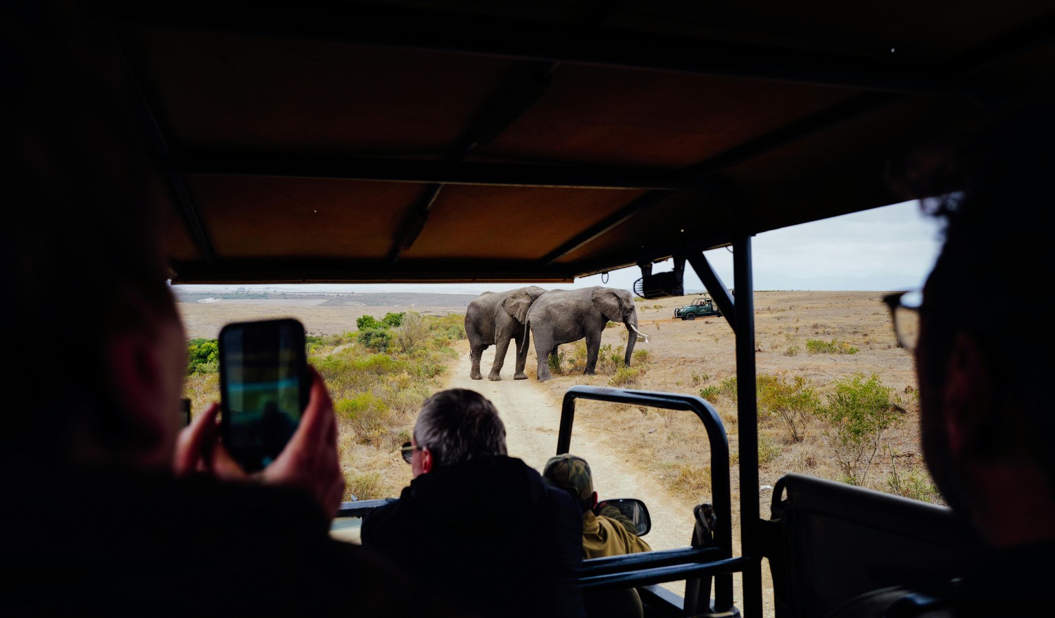 View from inside an open safari vehicle as passengers photograph two elephants standing on a dirt track in dry grassland, with another safari vehicle in the distance.
